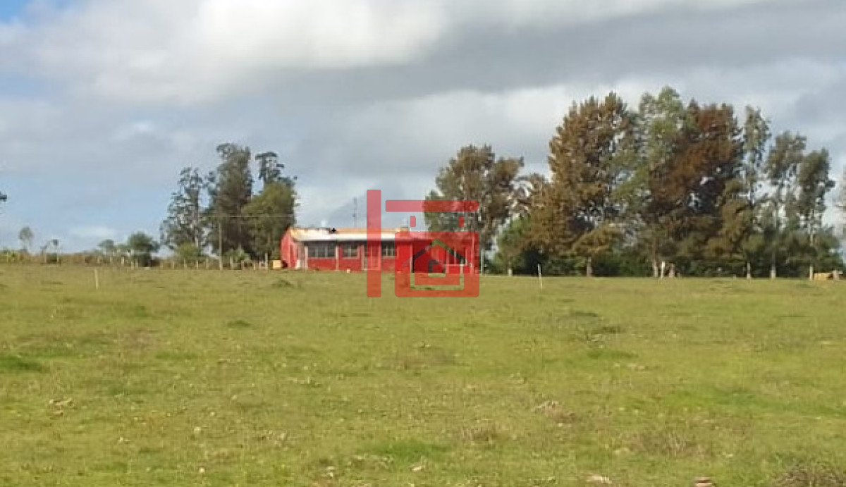 Chacra ID.102 - SE VENDE CHCRA ZONA RURAL SAN CARLOS RUTA 39