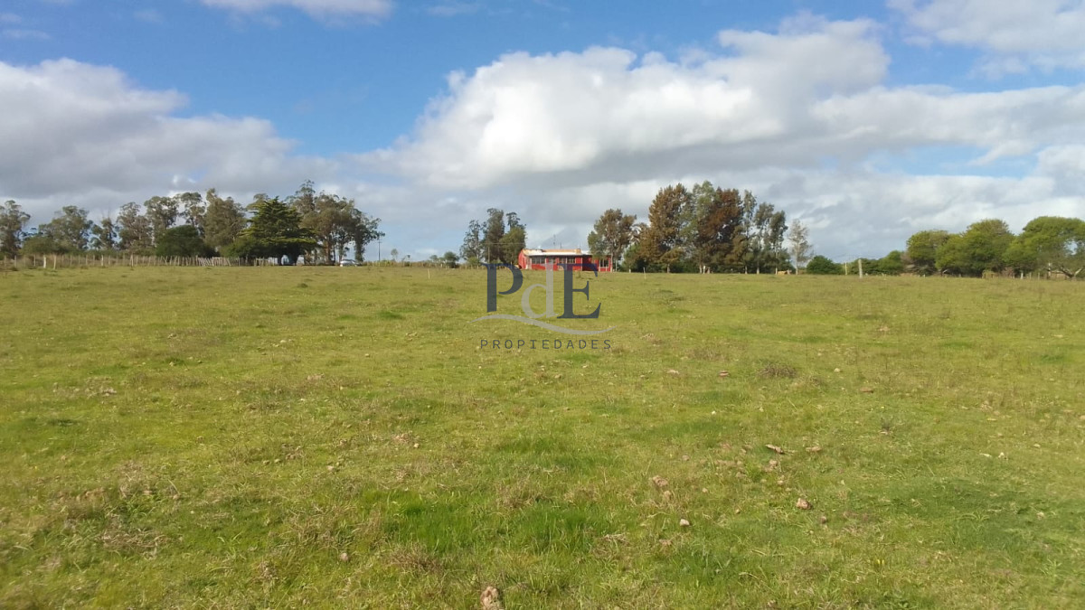 CHACRA EN VENTA SOBRE RUTA 39 - MALDONADO - Imagen 1