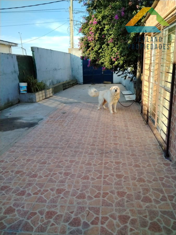 Casa ID.111 - SE VENDE CASA 3 DORMITORIOS JOSE MARI