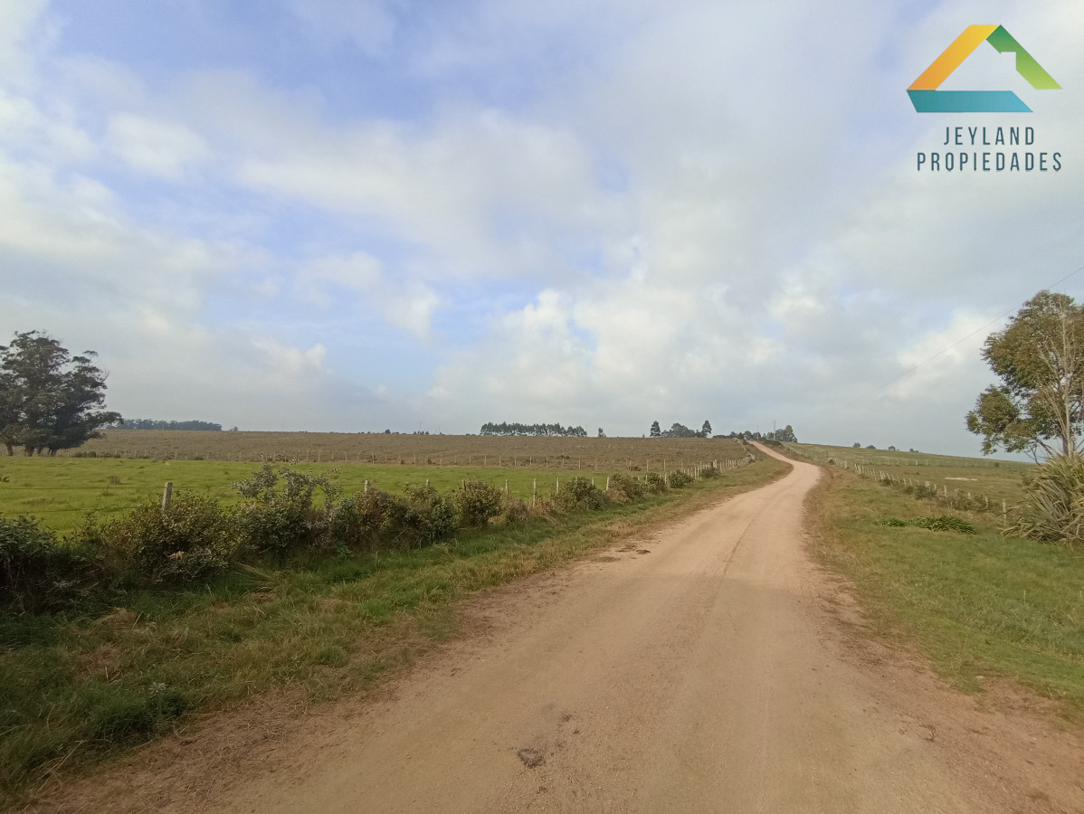 Chacra ID.133 - SE VENDE CHACRA DE 11 HECTAREAS CON CASA 