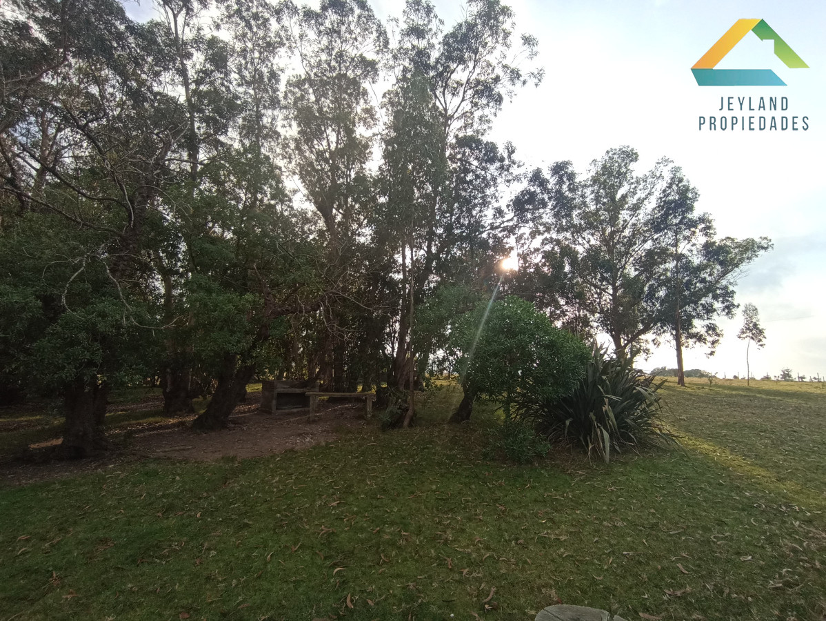 Chacra ID.133 - SE VENDE CHACRA DE 11 HECTAREAS CON CASA 