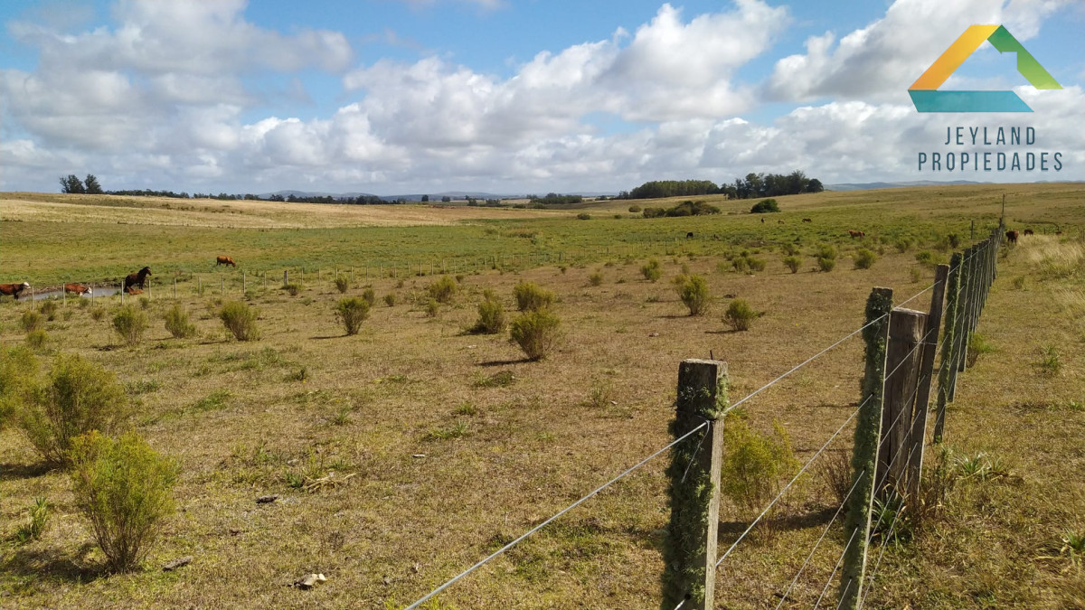 Chacra ID.406 - Chacra 20 Hectáreas en Zona Cañada Bellaca 