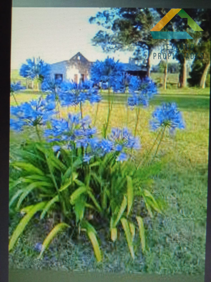 Chacra ID.115 - SE VENDE CHACRA 5H CAMPO DON NICO