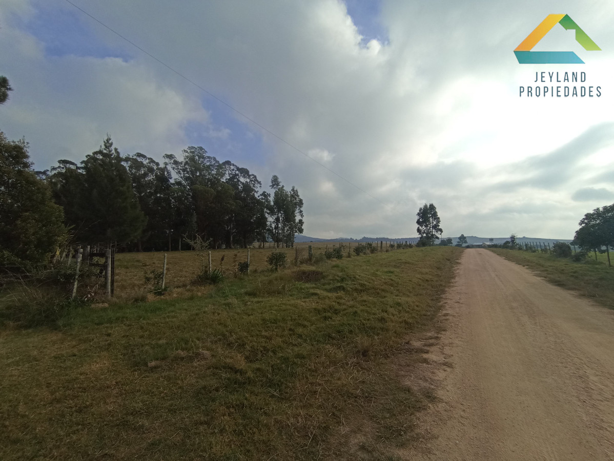 Chacra ID.133 - SE VENDE CHACRA DE 11 HECTAREAS CON CASA 