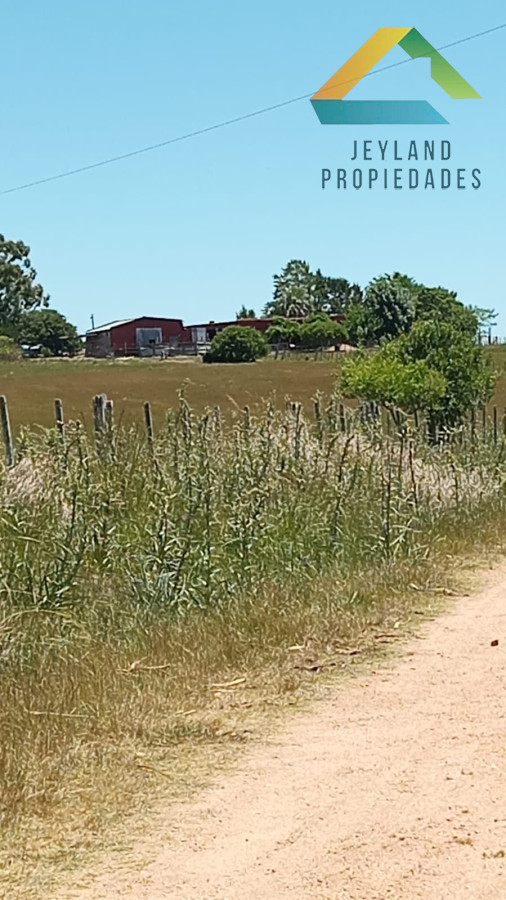 Chacra ID.301 - SE VENDE CHACRA EN CORTE DE LA LEÑA 