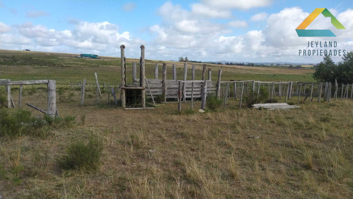 Chacra ID.406 - Chacra 20 Hectáreas en Zona Cañada Bellaca 