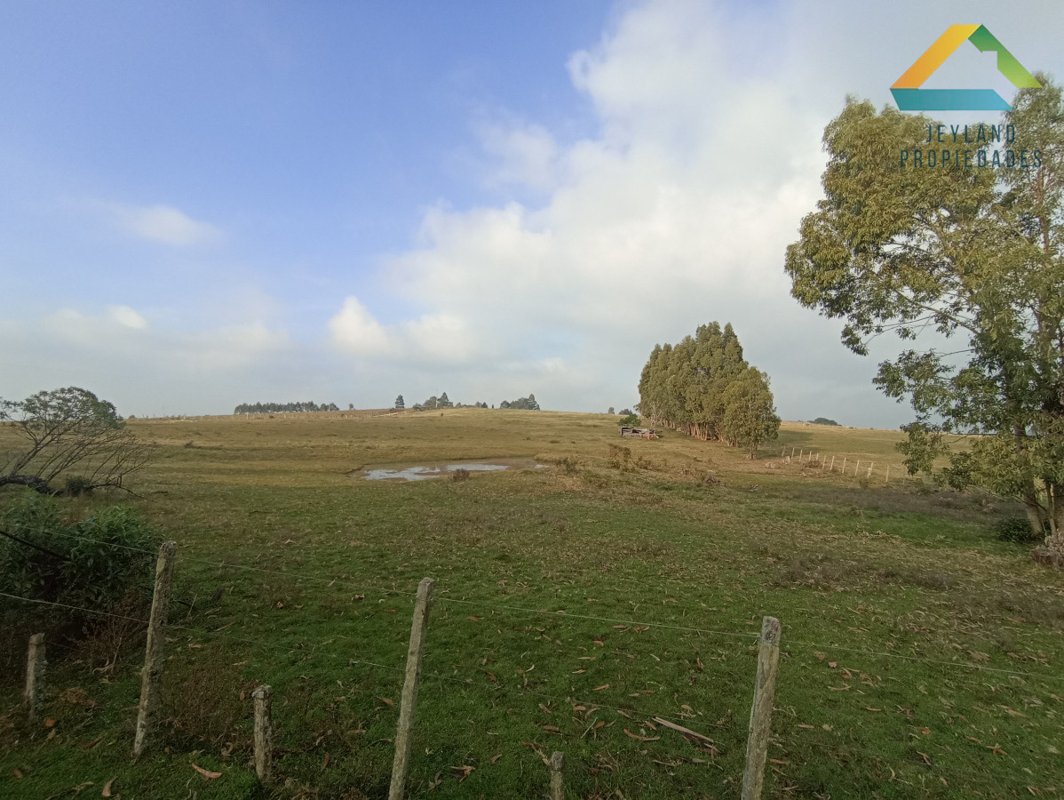 Chacra ID.133 - SE VENDE CHACRA DE 11 HECTAREAS CON CASA 