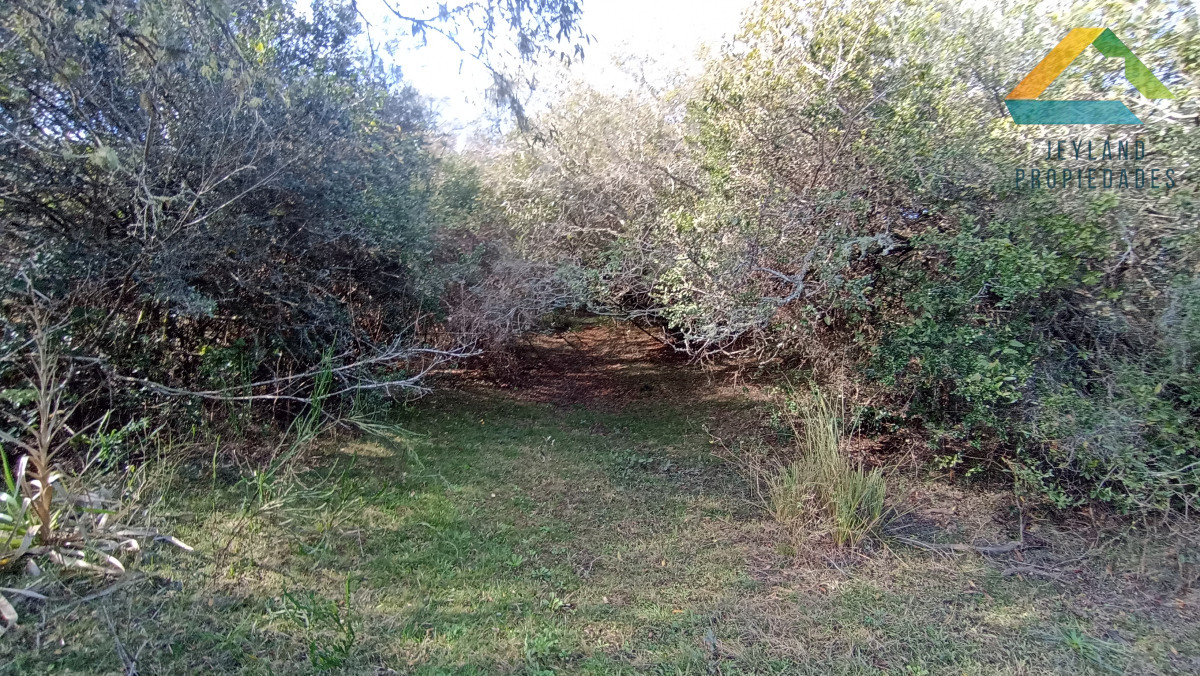 Chacra ID.207 - SE VENDE CHACRA 5 HECTAREAS CON CASA RUTA 9