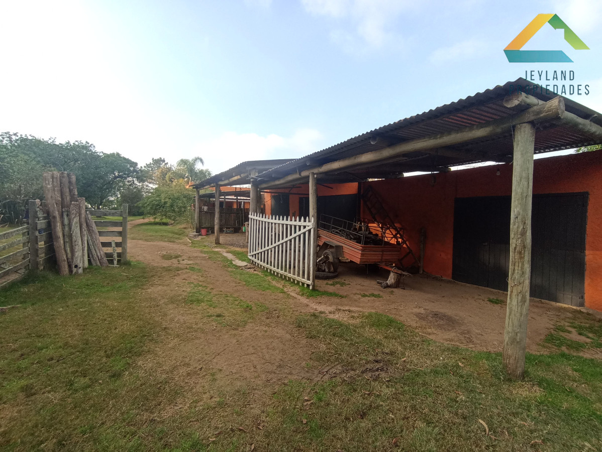 Chacra ID.133 - SE VENDE CHACRA DE 11 HECTAREAS CON CASA 