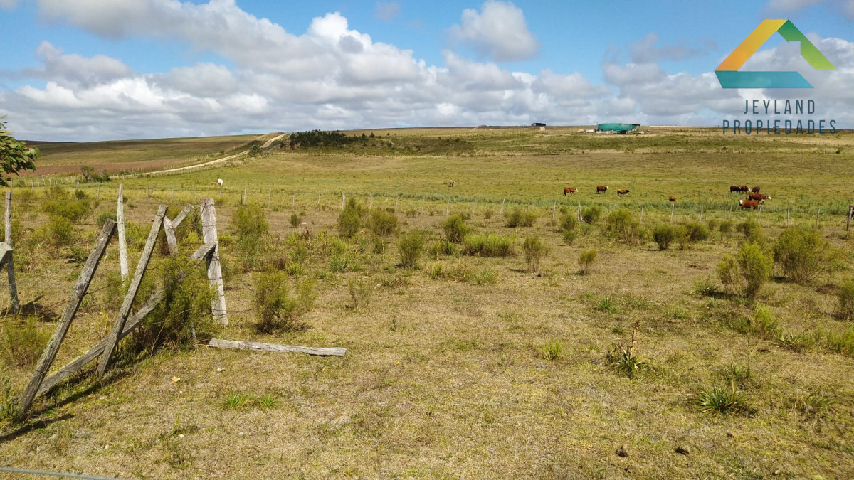 Chacra ID.406 - Chacra 20 Hectáreas en Zona Cañada Bellaca 