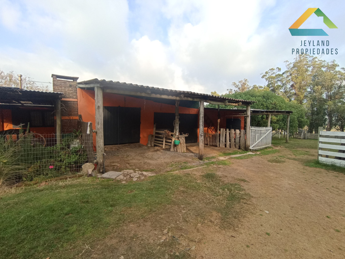 Chacra ID.133 - SE VENDE CHACRA DE 11 HECTAREAS CON CASA 