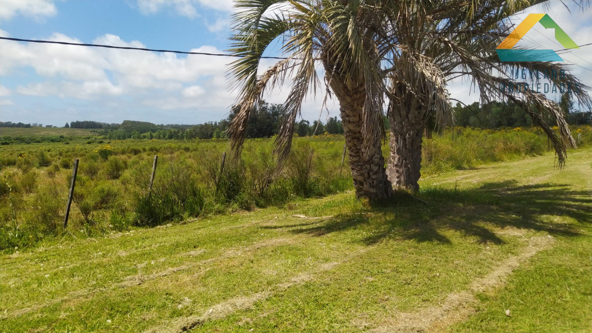 Chacra ID.313 - SE VENDE CHACRA EN LA RUTA 104 EN PRIMERA LINEA 
