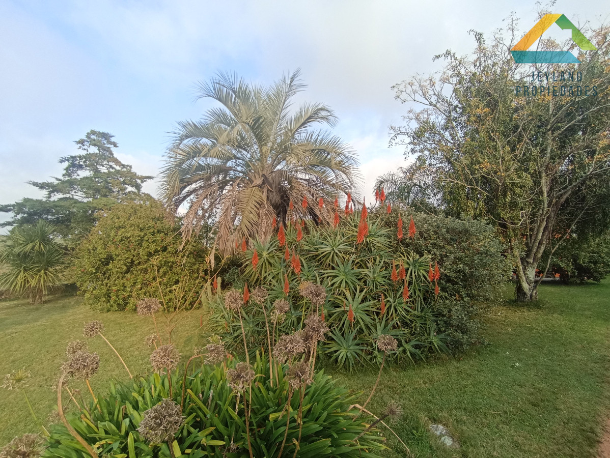Chacra ID.133 - SE VENDE CHACRA DE 11 HECTAREAS CON CASA 