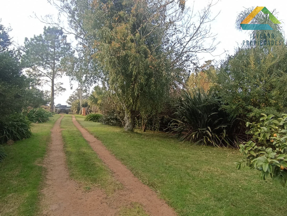 Chacra ID.133 - SE VENDE CHACRA DE 11 HECTAREAS CON CASA 