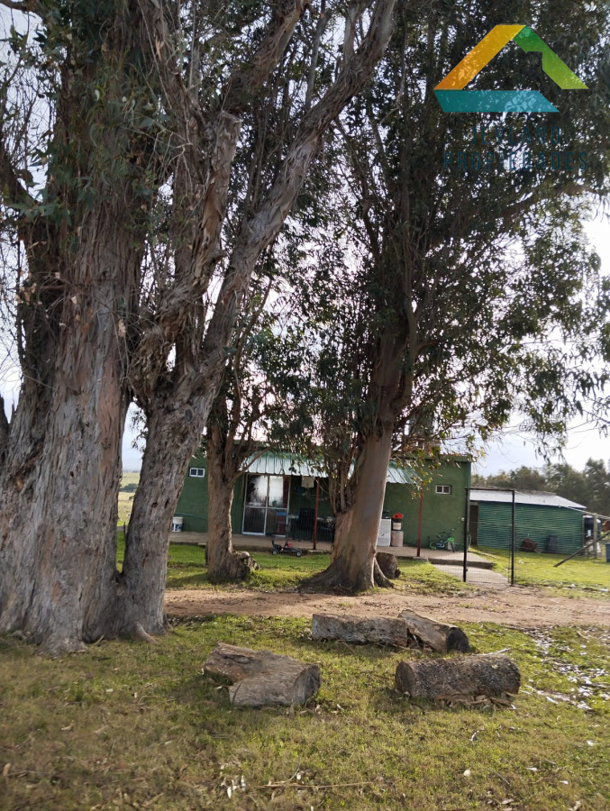 Chacra ID.309 - CHACRA EN SAN CARLOS RUTA 39