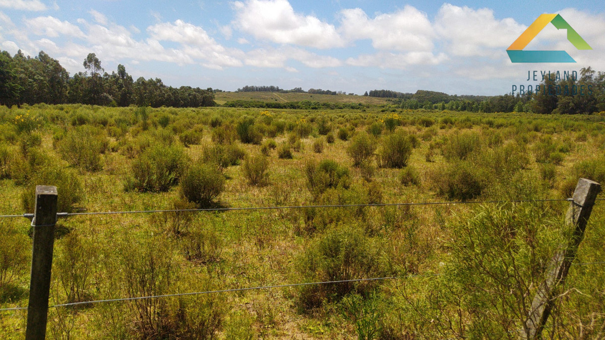 Chacra ID.313 - SE VENDE CHACRA EN LA RUTA 104 EN PRIMERA LINEA 