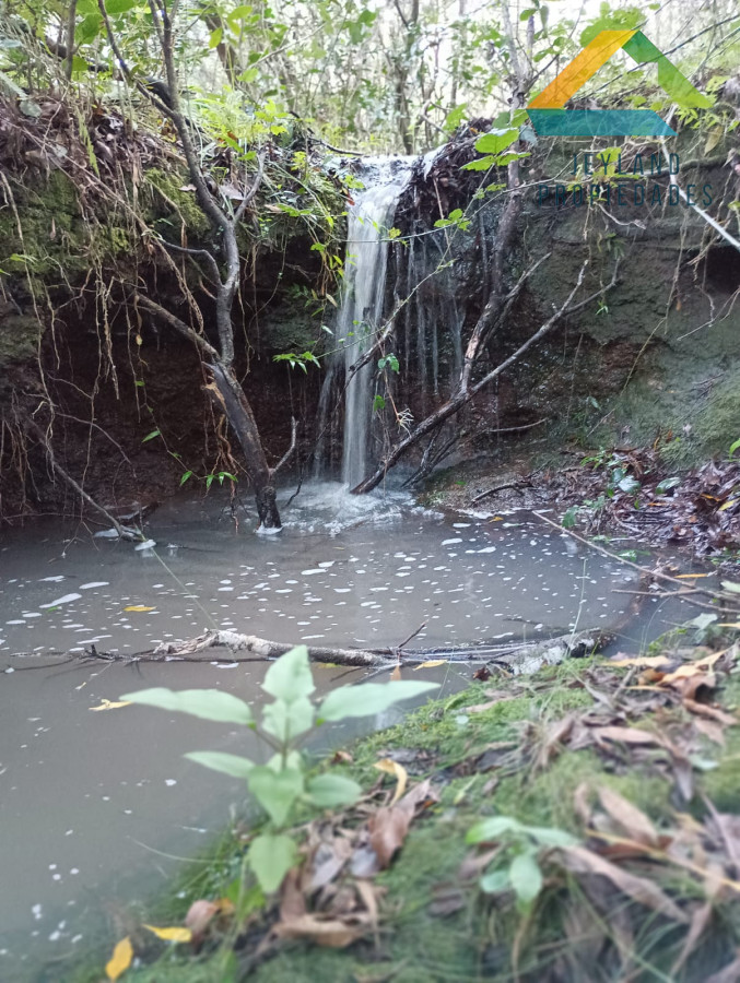 Chacra ID.218 - SE VENDE CHACRA DE CASI 7 HECTAREAS EN LAS CAÑAS 