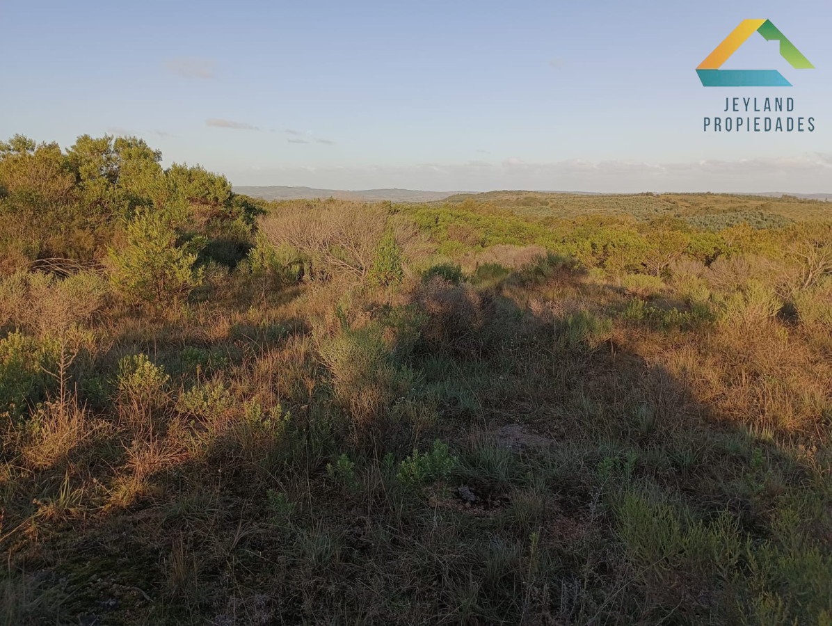 Chacra ID.218 - SE VENDE CHACRA DE CASI 7 HECTAREAS EN LAS CAÑAS 