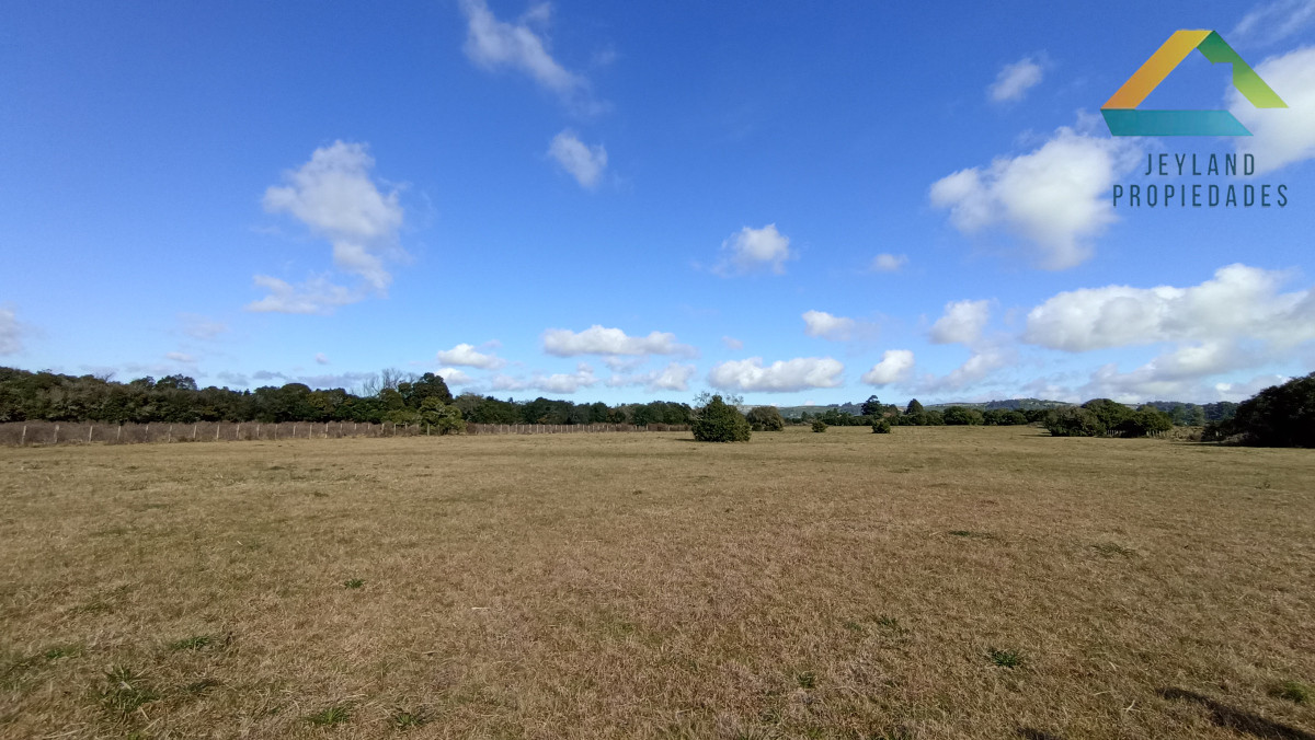 Chacra ID.207 - SE VENDE CHACRA 5 HECTAREAS CON CASA RUTA 9