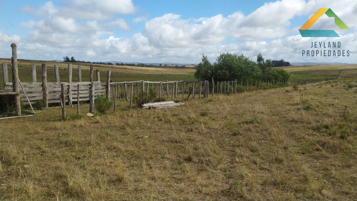 Chacra ID.406 - Chacra 20 Hectáreas en Zona Cañada Bellaca 