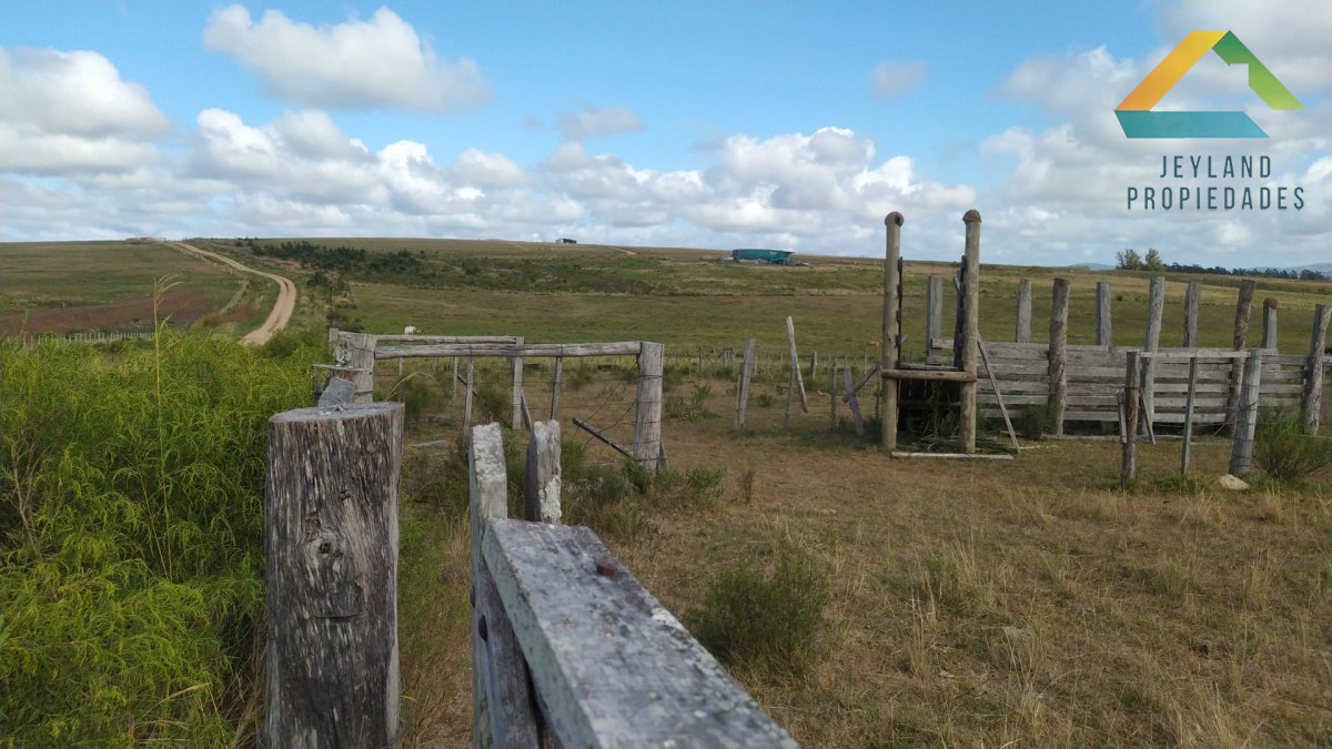 Chacra ID.406 - Chacra 20 Hectáreas en Zona Cañada Bellaca 