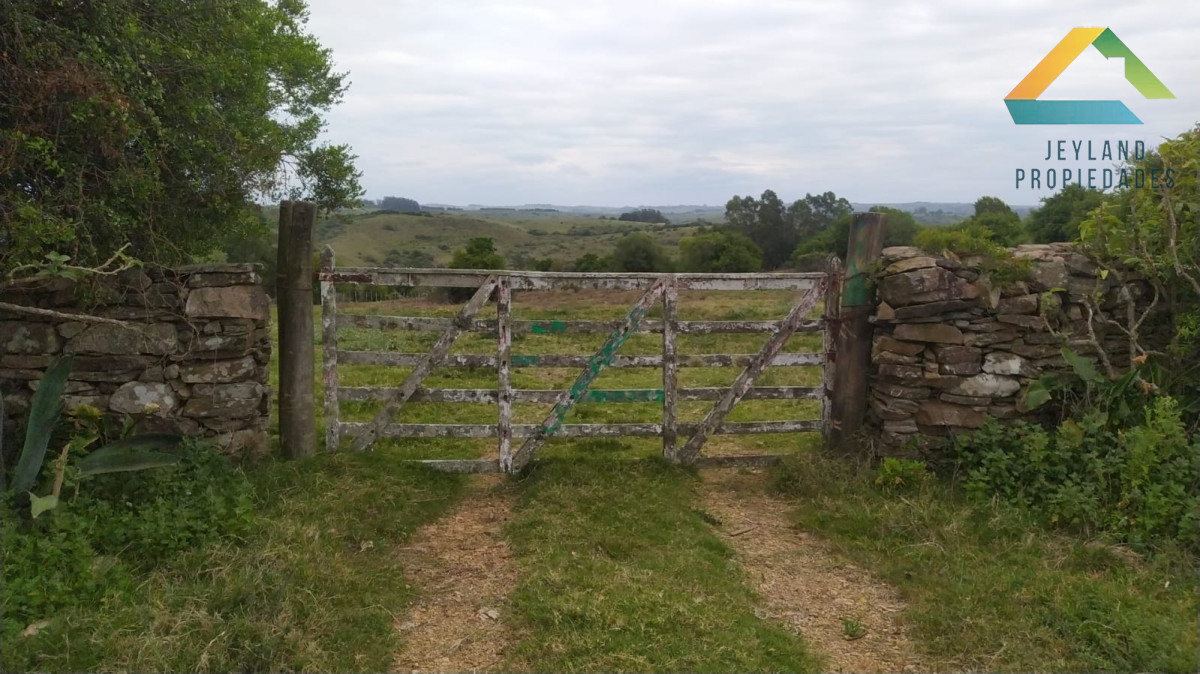 Chacra ID.290 - SE VENDE CHACRA DE 6 HECTAREAS EN PUEBLO EDEN 