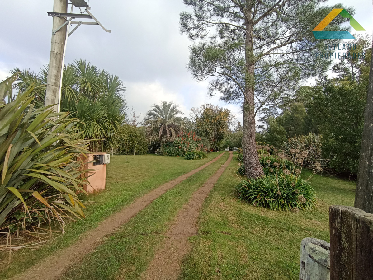 Chacra ID.133 - SE VENDE CHACRA DE 11 HECTAREAS CON CASA 