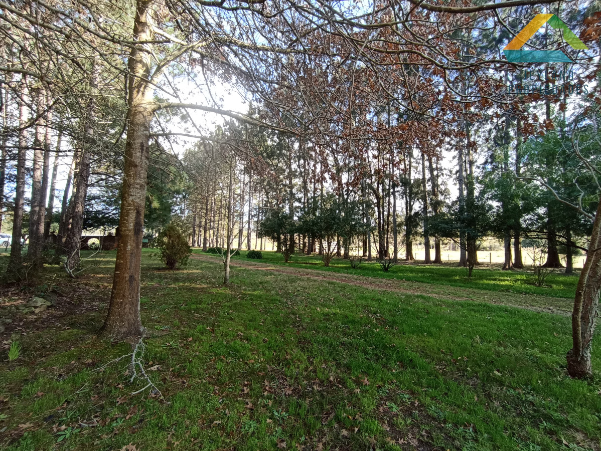 Chacra ID.207 - SE VENDE CHACRA 5 HECTAREAS CON CASA RUTA 9