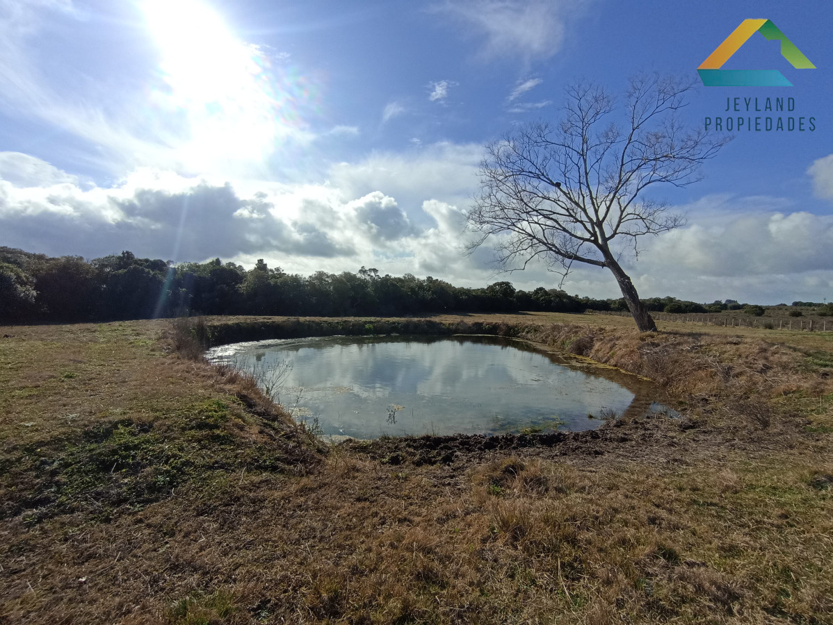 Chacra ID.207 - SE VENDE CHACRA 5 HECTAREAS CON CASA RUTA 9