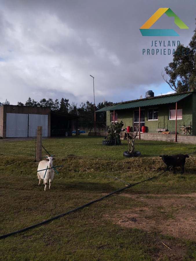 Chacra ID.309 - CHACRA EN SAN CARLOS RUTA 39