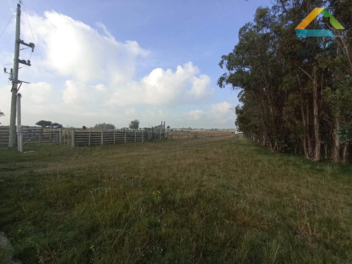 Chacra ID.133 - SE VENDE CHACRA DE 11 HECTAREAS CON CASA 