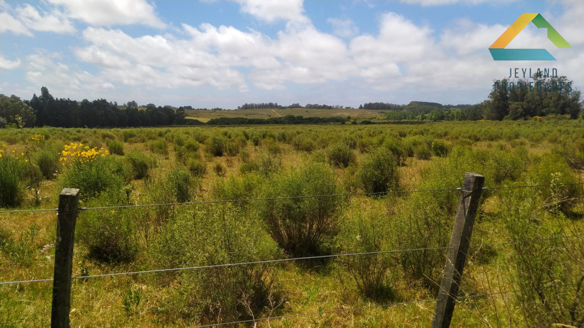 Chacra ID.313 - SE VENDE CHACRA EN LA RUTA 104 EN PRIMERA LINEA 