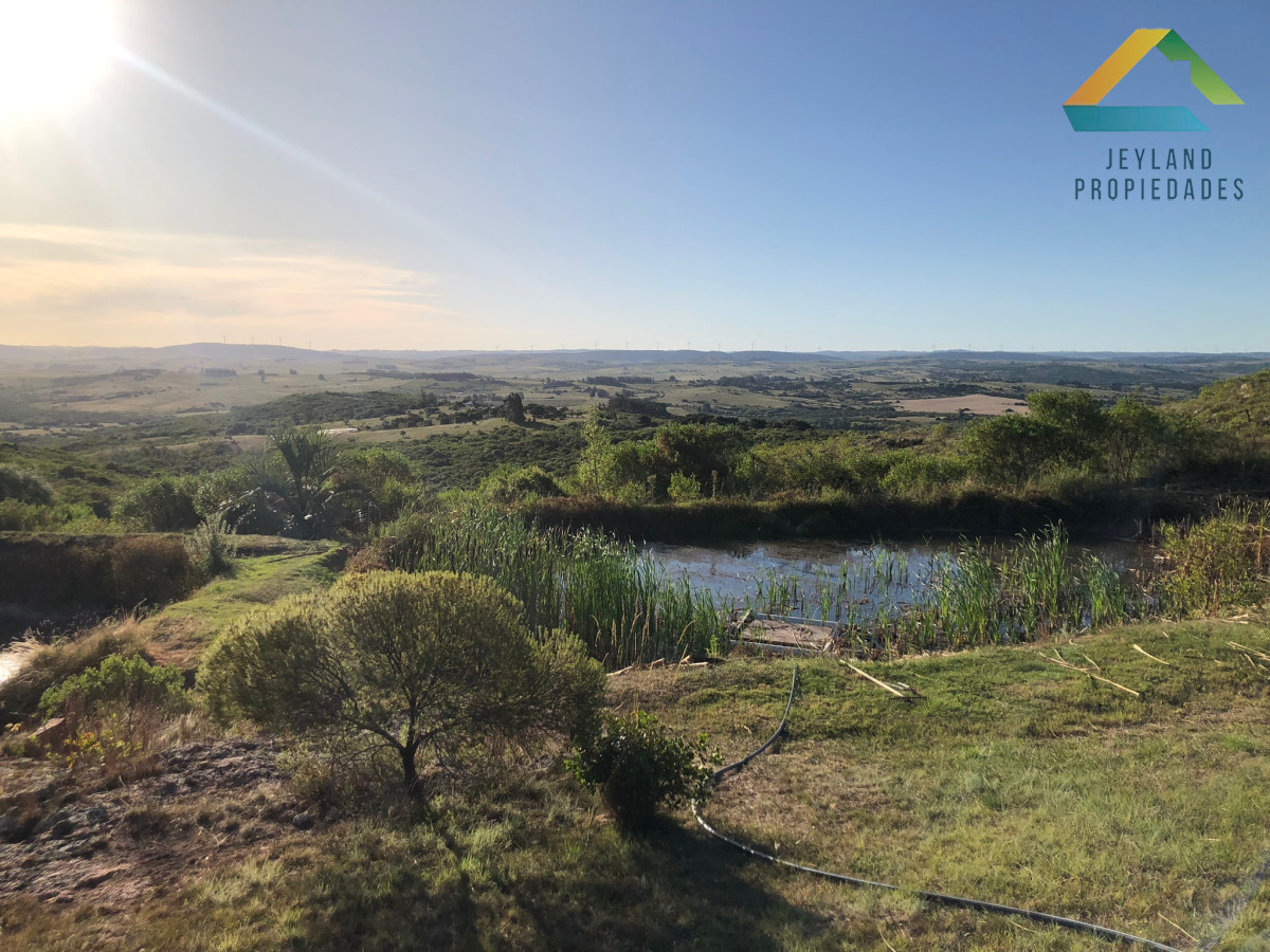 Chacra ID.10 - SE VENDE HERMOSA CHACRA EN LAS CAÃ‘AS RUTA 39