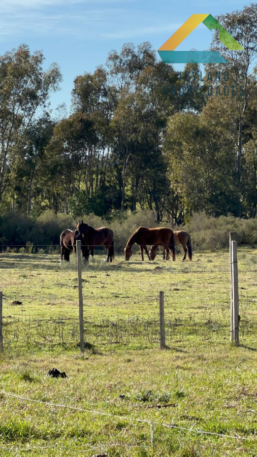 Chacra ID.95 - SE VENDE CAMPO DE 7 ha CANELONES 