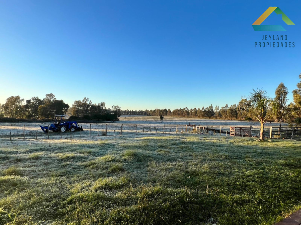 Chacra ID.95 - SE VENDE CAMPO DE 7 ha CANELONES 