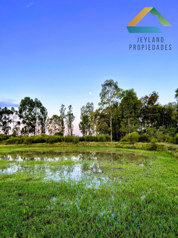 Chacra ID.95 - SE VENDE CAMPO DE 7 ha CANELONES 