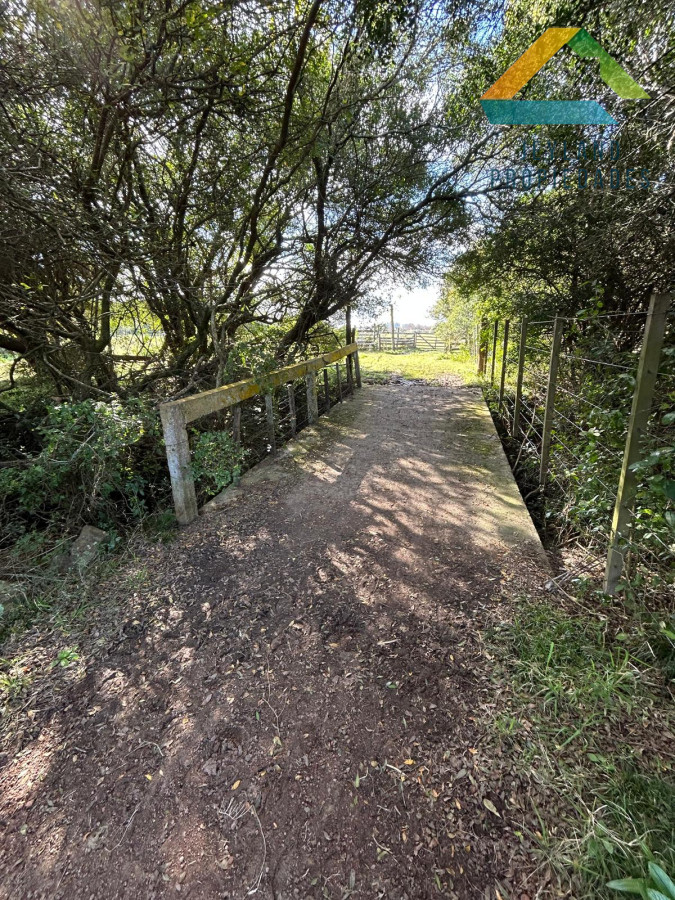 Chacra ID.207 - SE VENDE CHACRA 5 HECTAREAS CON CASA RUTA 9