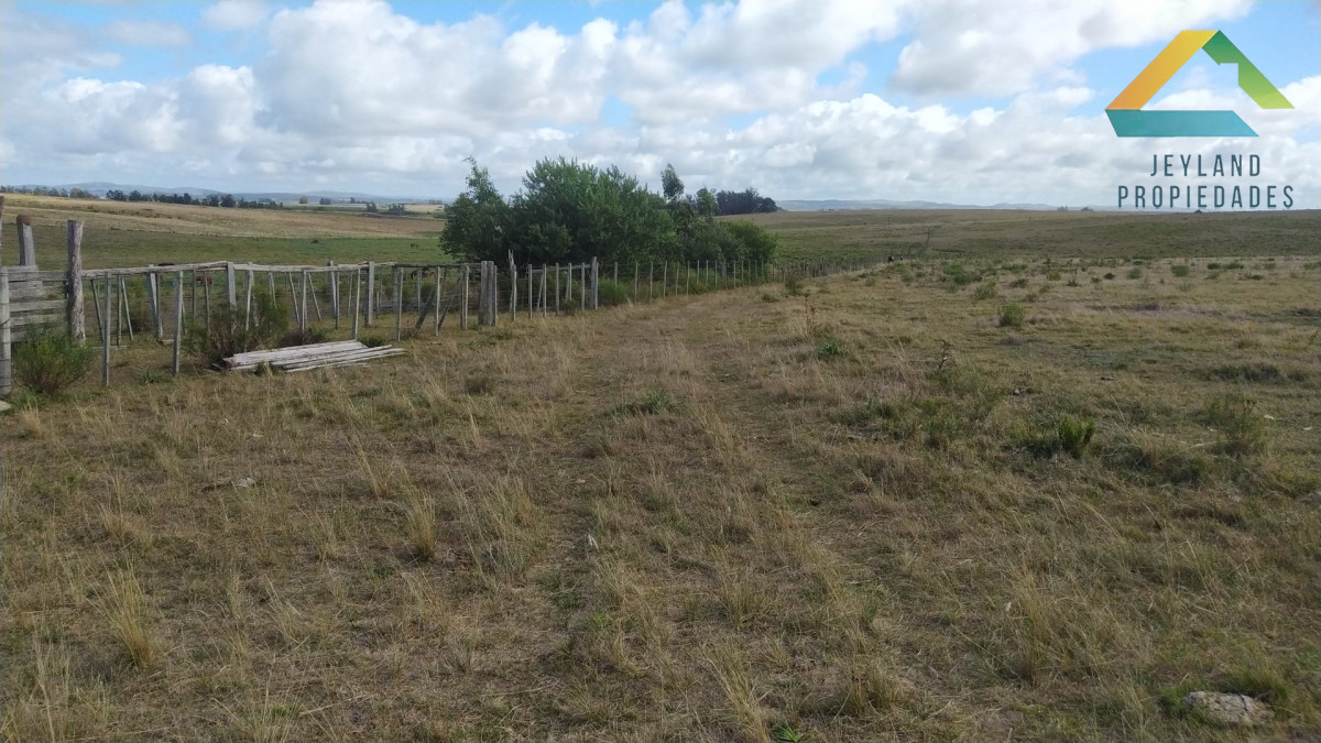 Chacra ID.406 - Chacra 20 Hectáreas en Zona Cañada Bellaca 