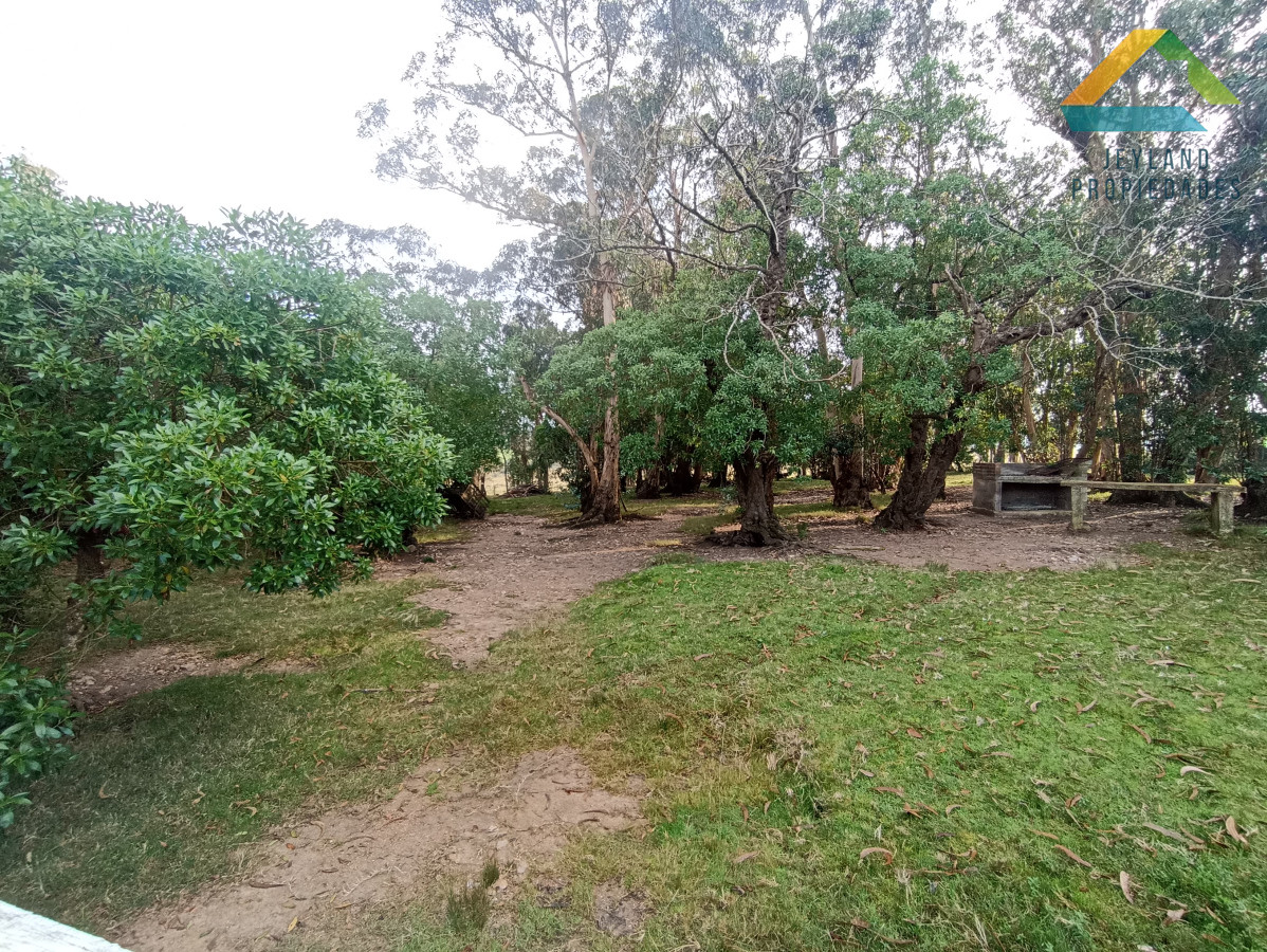 Chacra ID.133 - SE VENDE CHACRA DE 11 HECTAREAS CON CASA 