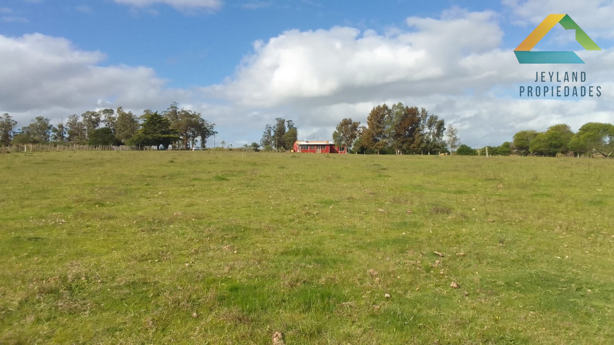 Chacra ID.325 - SE VENDE CHCRA ZONA RURAL SAN CARLOS RUTA 36