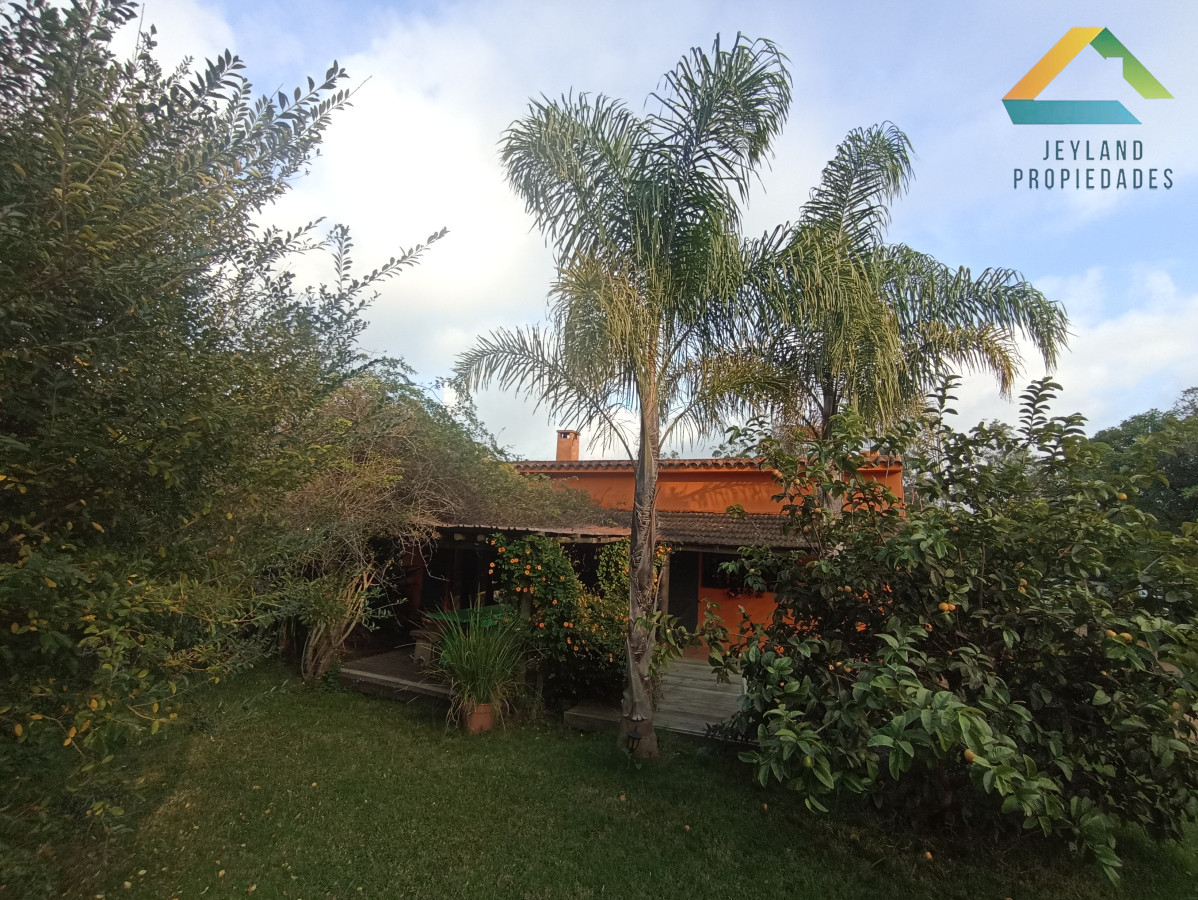 Chacra ID.133 - SE VENDE CHACRA DE 11 HECTAREAS CON CASA 