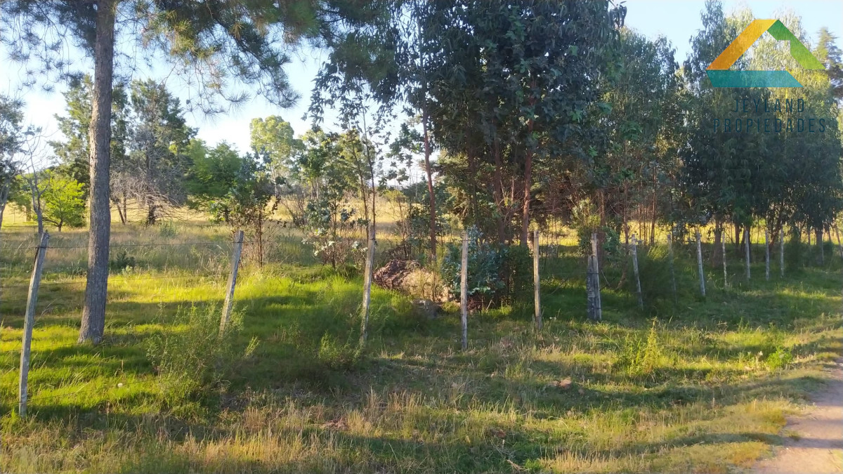 Chacra ID.321 - SE VENDE CHACRA DE 14 Hs. RUTA 39