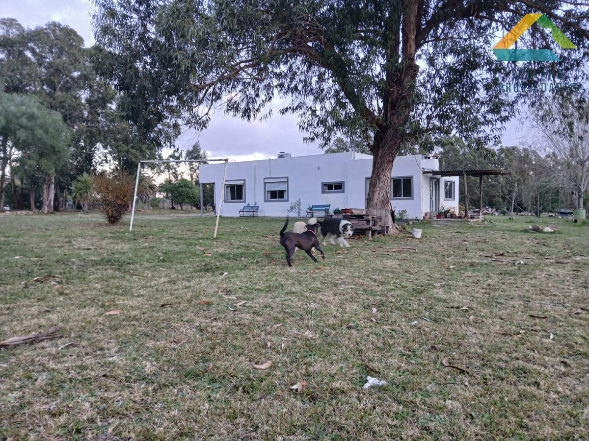 Chacra ID.187 - SE VENDE CHACRA DE 6,5 HECTAREAS CON CASA 