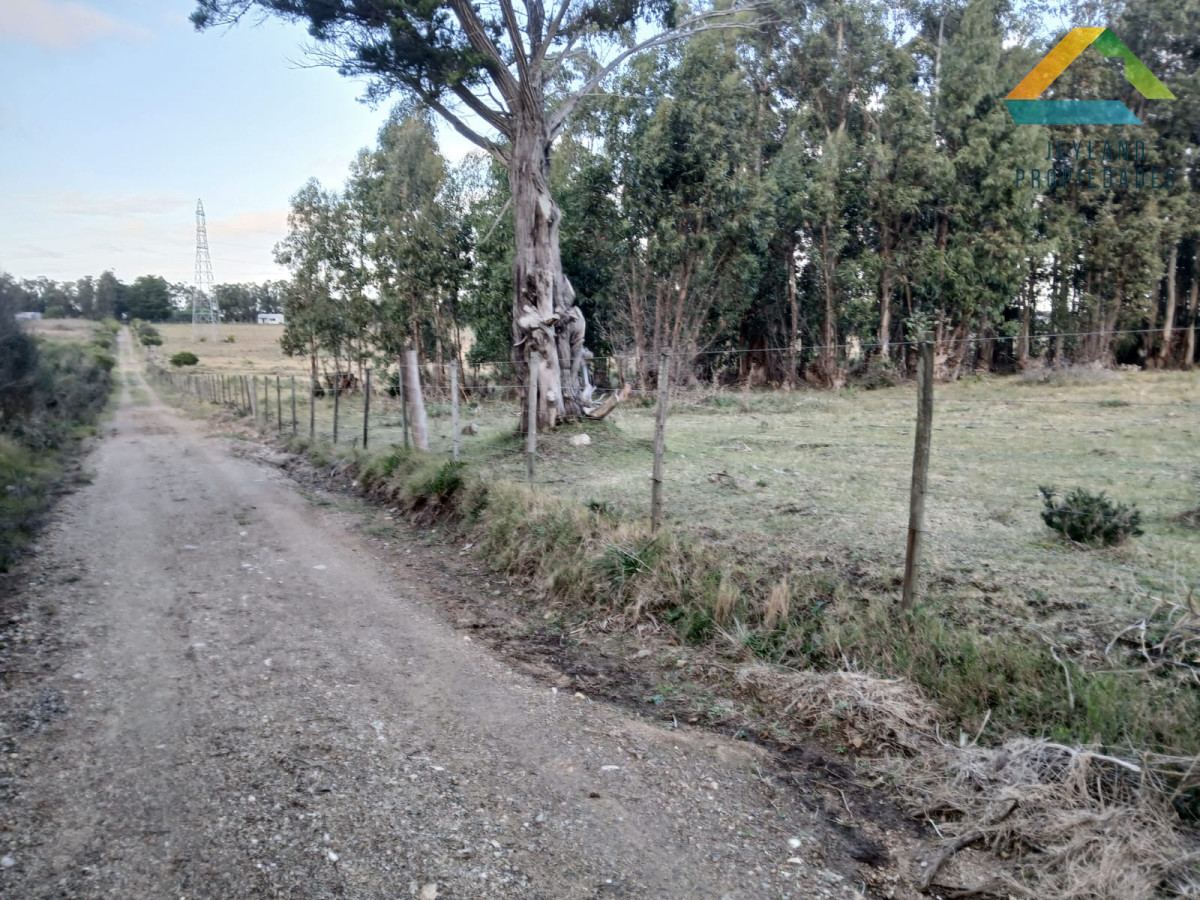 Chacra ID.187 - SE VENDE CHACRA DE 6,5 HECTAREAS CON CASA 