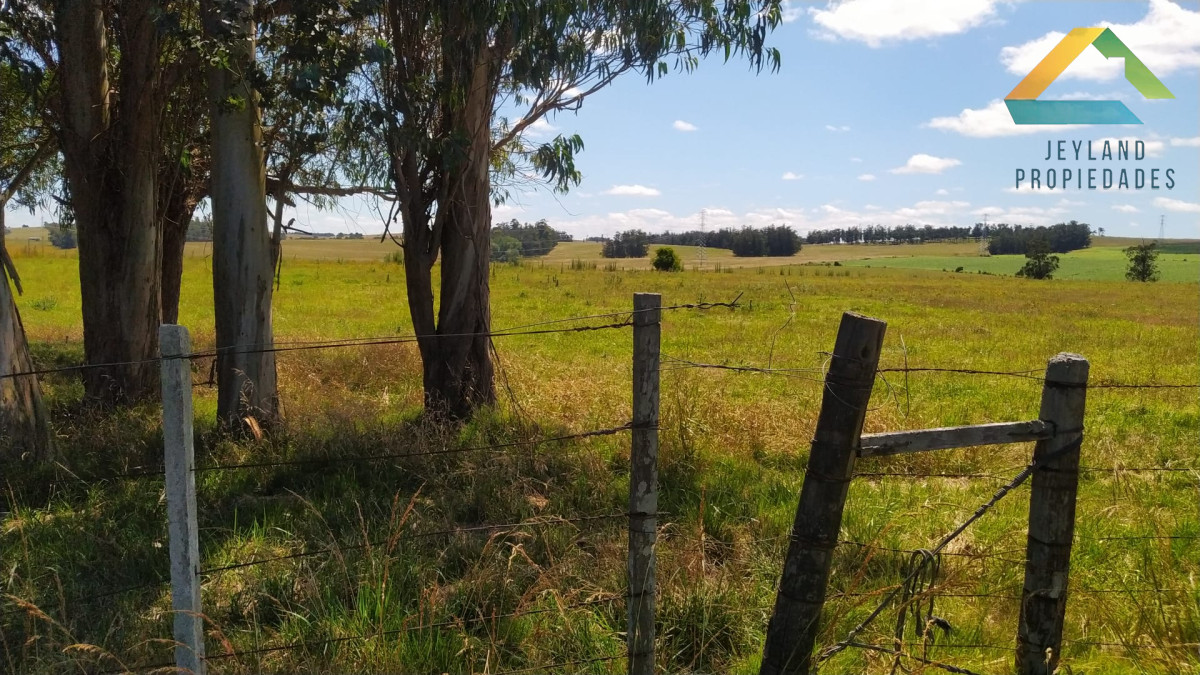 Chacra ID.317 - SE VENDE CHACRA DE 10 HECTAREAS RUTA 104 