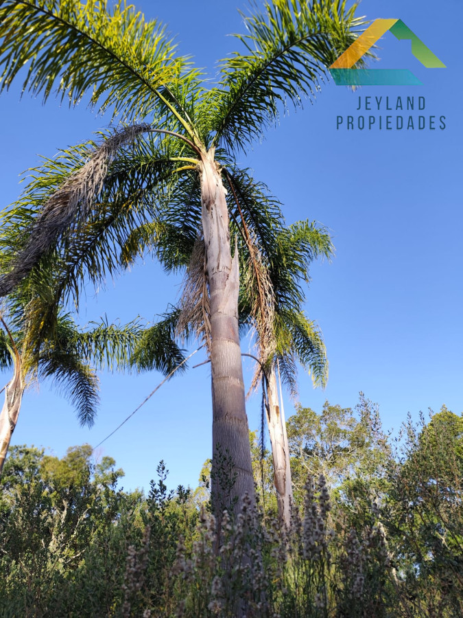 Chacra ID.218 - SE VENDE CHACRA DE CASI 7 HECTAREAS EN LAS CAÑAS 