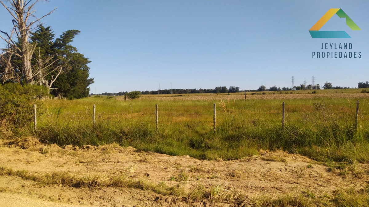 Chacra ID.308 - SE VENDE CHACRA DE 11 HECTAREAS POR RUTA 104