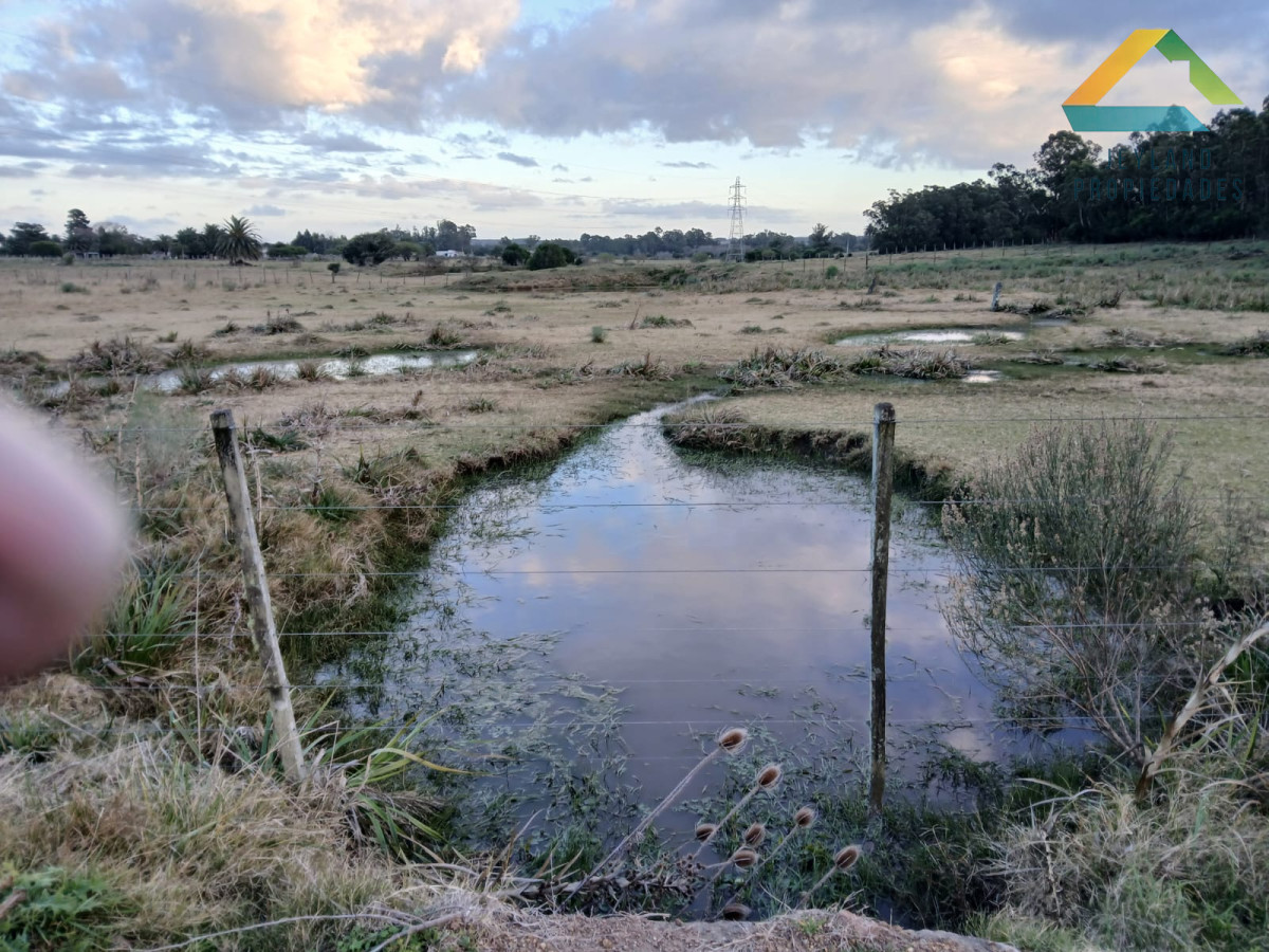 Chacra ID.187 - SE VENDE CHACRA DE 6,5 HECTAREAS CON CASA 
