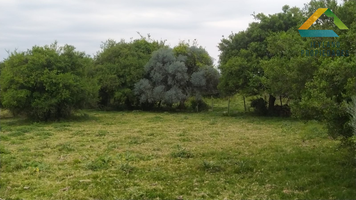 Chacra ID.290 - SE VENDE CHACRA DE 6 HECTAREAS EN PUEBLO EDEN 