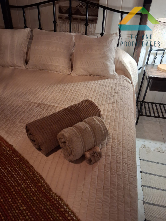 Chacra ID.133 - SE VENDE CHACRA DE 11 HECTAREAS CON CASA 